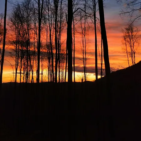 Om Bun * Piatra (Stoenesti)